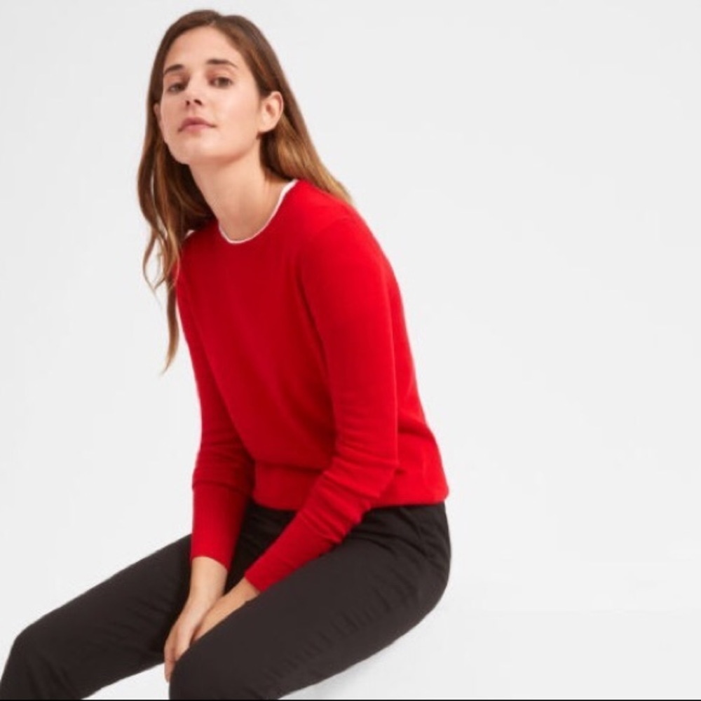 Everlane Cashmere Sweater
